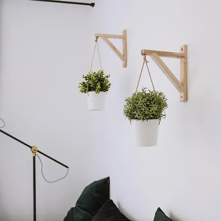 La Marquise St Joseph - Joli Studio Avec Balcon Jardin Des Plantes * Toulouse